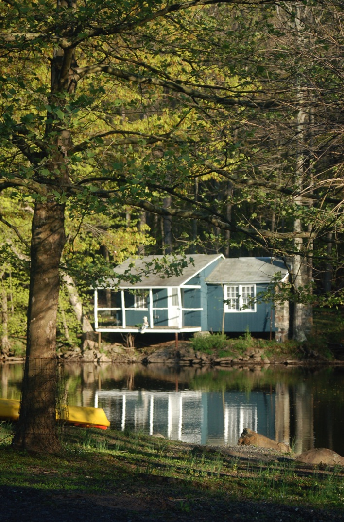 Schnabels' Woods Contact Us